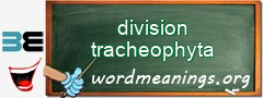 WordMeaning blackboard for division tracheophyta